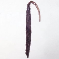 Sonio 永生花 柔軟長柳枝花束, 17 紫灰色