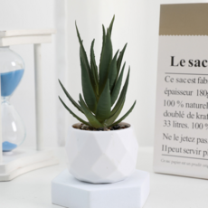 소울리치 예쁜 다육식물 조화 화분타입2 이글 클로 그린, 혼합색상, 1개