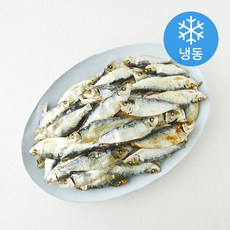 디포리 (냉동), 1개, 1.5kg