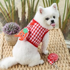 PASTEL PET 狗狗水果格紋胸背帶組 L, 1套, 紅色