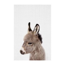 幼兒動物寫實配電箱插畫布質海報 驢子