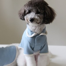 베베페페 강아지 버튼 카라 티셔츠, BLUE, 1개