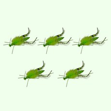 PET Morning 貓咪 Real Bug 螳螂玩具補充包