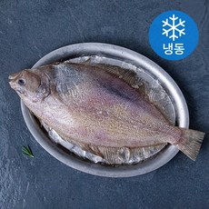 다미원 국내산 반건조 참가자미 (냉동), 330g, 1개
