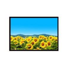 室內裝飾鋁製畫框 + Money Flower J海報組, 黑色