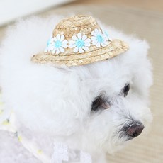 에이미러브즈펫 반려동물 JJ 데이지 밀짚모자, 블루, 1개