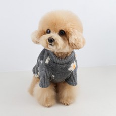 Grooming Dog 寵物冬季雛菊針織衫, 灰色, 1個