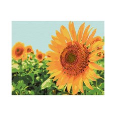 Play about 陽光向日葵 DIY 傑作繪畫套組 40 x 50cm, 混合顏色