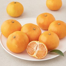 프레시픽 천혜향, 1.5kg(소과, 8~10입), 1팩