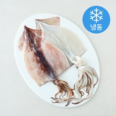 위드프레쉬 국내산 손질 오징어 (냉동), 1개, 270g