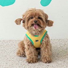 바잇미 반려동물 아이스 쿨링 베스트, 옐로우