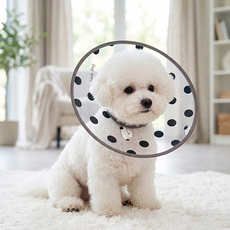 리치독스 반려동물 투명 헤일로 넥카라, 1개, 헤일로 도트