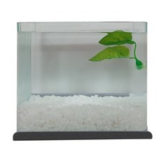 Aquatera 窗框掛魚缸套組 10mm, 碳金屬（魚缸）