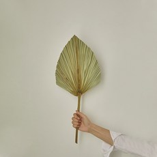 GAPANG 乾花DRYB230, 數字 03 綠色