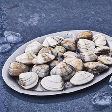 산지직송 바다림 생물 비단조개 (냉장), 500g, 1개