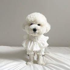 Grooming Dog 寵物大翻領純棉優雅上衣, 白色