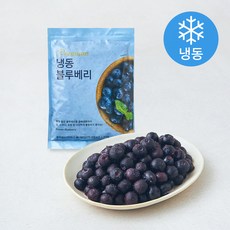 아침과저녁 아침앤저녁앤 블루베리 (냉동), 1개, 900g