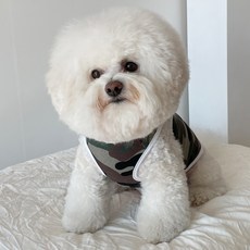 Bydamsumi 狗狗紐約迷彩背心, 卡其色