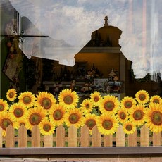 소니오 뷰티풀 네이처 인테리어 스티커, 05 썬플라워