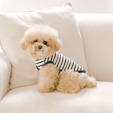 PETSLAND 狗狗快樂瓢蟲T恤, 海軍藍, 1個