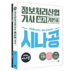 2025 시나공 資訊處理產業技師 術科基本書, 길벗