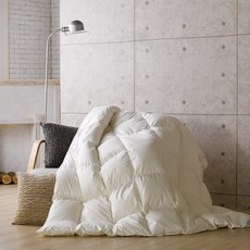 GOOSE&HOME 印度subin -myeon匈牙利70 Goose Futon, 白色的