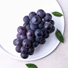 과일진심 거봉 포도, 500g, 1개