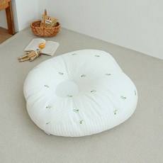 아솜느 유아용 듀라론 냉감 역류방지 쿠션, 솜룡이