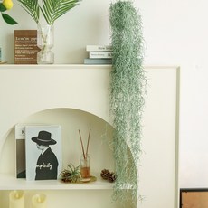 Flouse302 人造懸掛植物 空氣鳳梨, 銀色