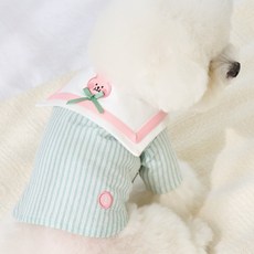 베니즈 강아지 무드 크롭 셔츠, 1개, 그린