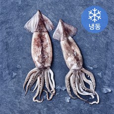 비비수산 살아있을때 깔끔하게 손질한 통오징어 (냉동), 1개, 350g(2미)