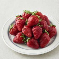 유러피안 딸기 중과, 1개, 500g