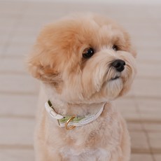 likalika 寵物Breeze Walk胸背帶, 1個, 橄欖綠