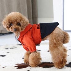 Red Puppy 狗狗 Lovely 雙面反光防風外套, 橘色