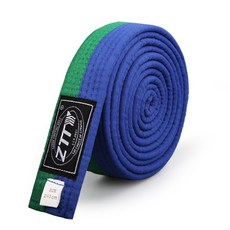 ZTTY 真無利潤跆拳道護腰帶, 05綠藍