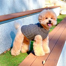 Petca 寵物麻花針織衫, 灰色, 1個