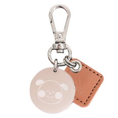 뽀시래기 강아지 동물등록 RFID 외장칩 인식표 후크형 금속, 1, 1개