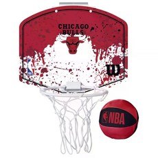 윌슨 NBA Team 시카고 불스 농구대, 레드, 1개