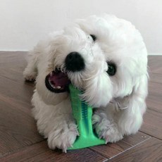 멍멍군나비양 강아지 셀프 칫솔 소프트 장난감 M, 그린, 1개