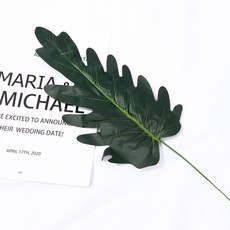 Store91 尤加利拍攝道具 N, 混色, 1個