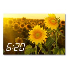 Homine 帆布印刷畫框系列 LED時鐘 向日葵風景 600 x 400 mm, 19