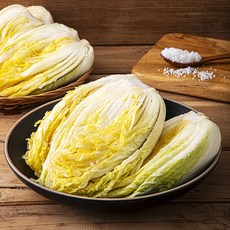 해양심층수로 만든 강원도 절임배추, 10kg