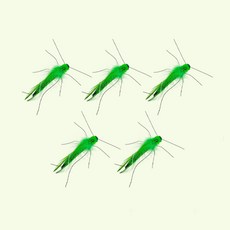 PET Morning 貓咪 Real Bug 蟋蟀補充玩具