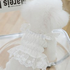 반려동물 아티펫 레이스 쉬폰 폴카 도트 드레스, 화이트, 1개