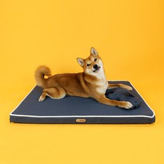 개과천선 반려동물 에어 3D 디맥스 에어코일 쿨링 방석 세트, 다크블루, 1세트