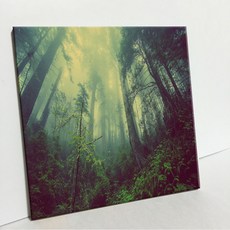 UDP 磁磚畫框 A型 931706, 單一顏色