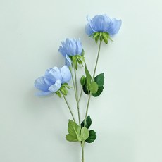 베누디 아네모네 조화, 블루, 1개