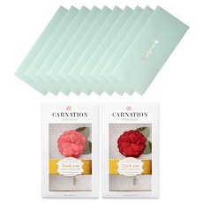 康乃馨胸花 2入 + 留言零用錢信封 10入組, 1套, 感謝(信封), 隨機出貨(胸花)