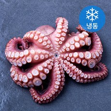 어보선 국내산 데친 문어 (냉동), 1개, 500g