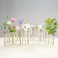 petitk 日式插花花瓶 20孔 + 連接環 40p + 清潔刷, 透明